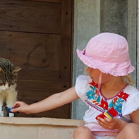 Agriturismo I Terzieri Ferentillo Εξωτερικό φωτογραφία