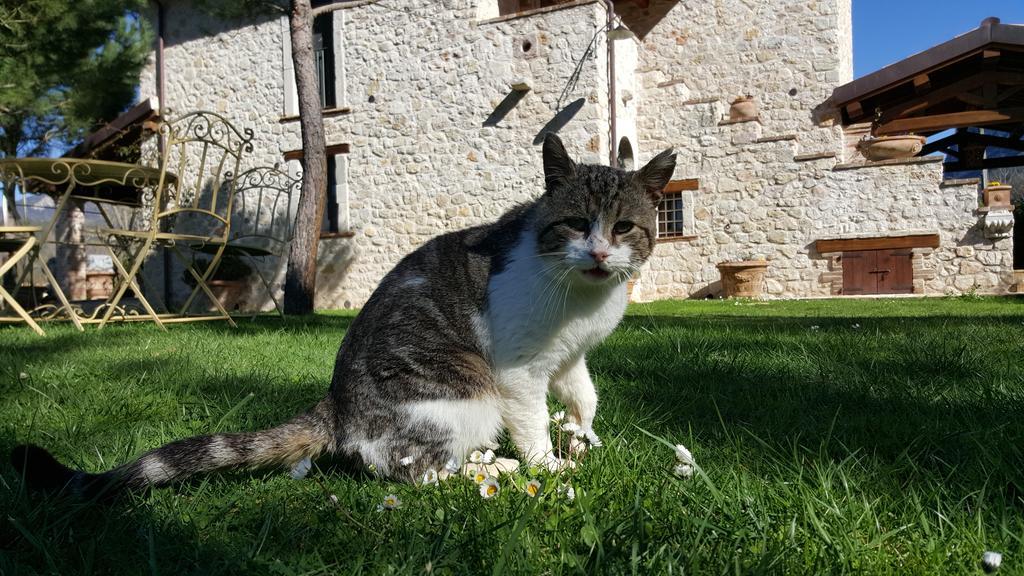 Agriturismo I Terzieri Ferentillo Εξωτερικό φωτογραφία