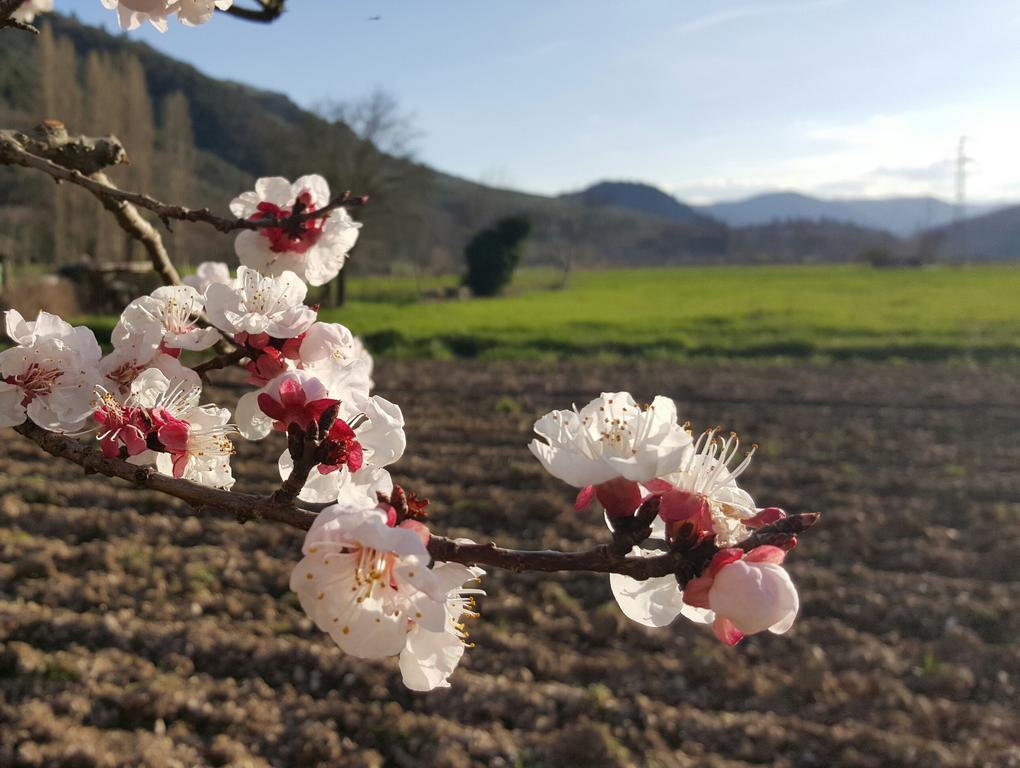 Agriturismo I Terzieri Ferentillo Εξωτερικό φωτογραφία