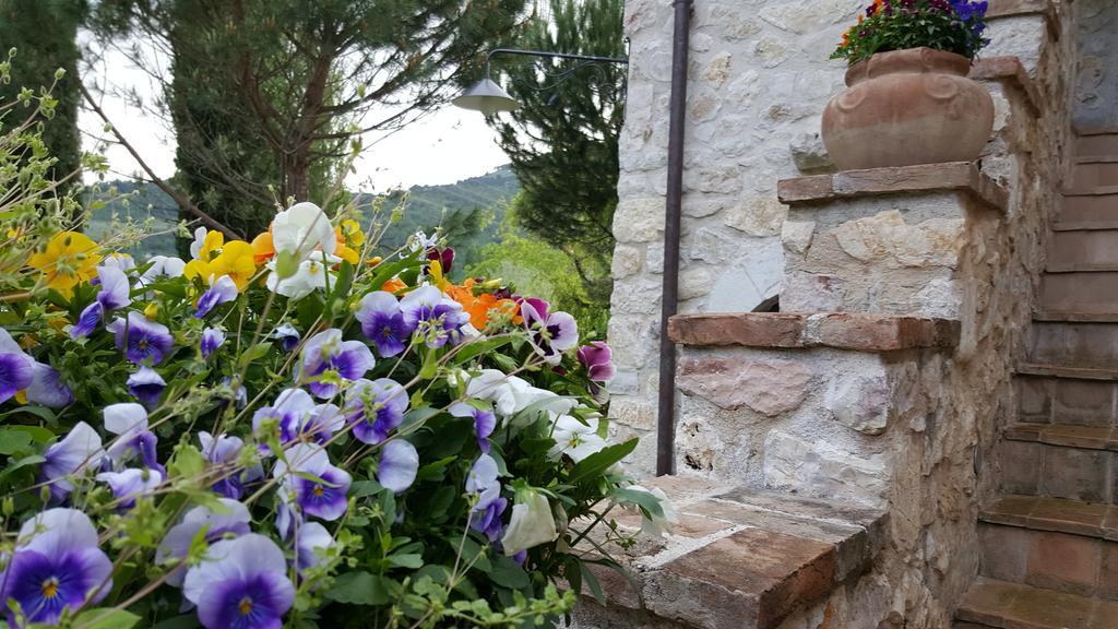 Agriturismo I Terzieri Ferentillo Εξωτερικό φωτογραφία